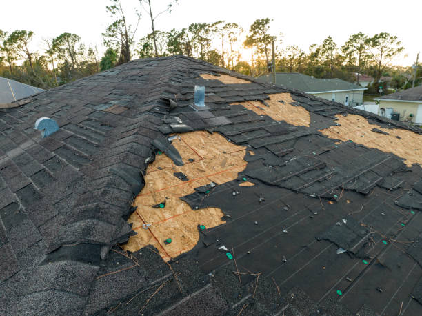 Best Steel Roofing  in Mount Washington, KY