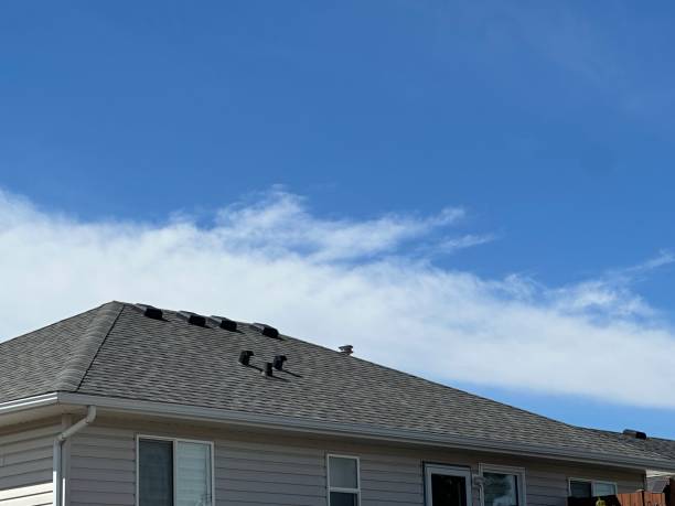 Best Sheet Metal Roofing  in Mount Washington, KY